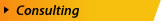 BizpPros Consulting Services