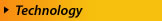 BizPros Technology Services