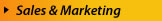 BizPros Sales and Marketing Services