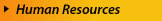 BizPros Human Resource Services