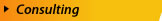 BizpPros Consulting Services