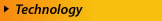 BizPros Technology Services