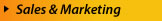 BizPros Sales and Marketing Services